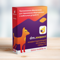 DM.Основные средства: Invent