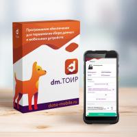 DM.Основные средства: ТОИР