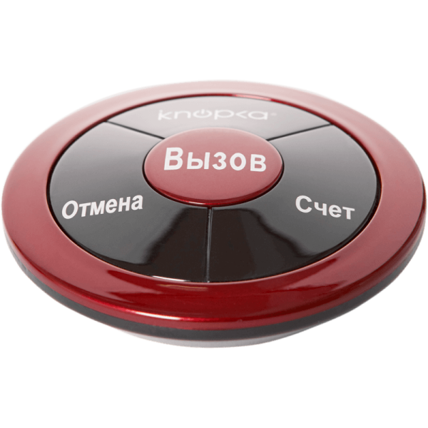 Кнопка вызова iKnopka APE330